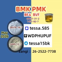 PMK Cas 28578-16-7k Ethyl Glycidate  C13h14o5  99%  High Purity  Laboratory Supplier